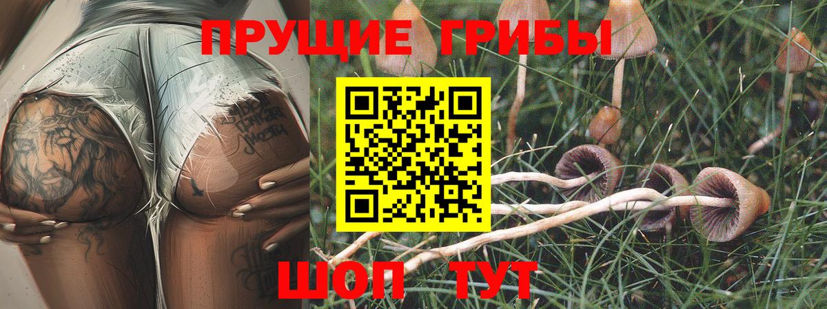 Псилоцибиновые грибы Psilocybine cubensis  наркотики  Вход с VPN  Знаменск  Галлюциногенные грибы ЛСД 