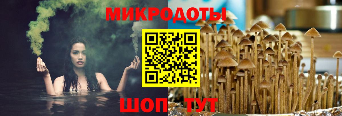 Галлюциногенные грибы ЛСД Знаменск